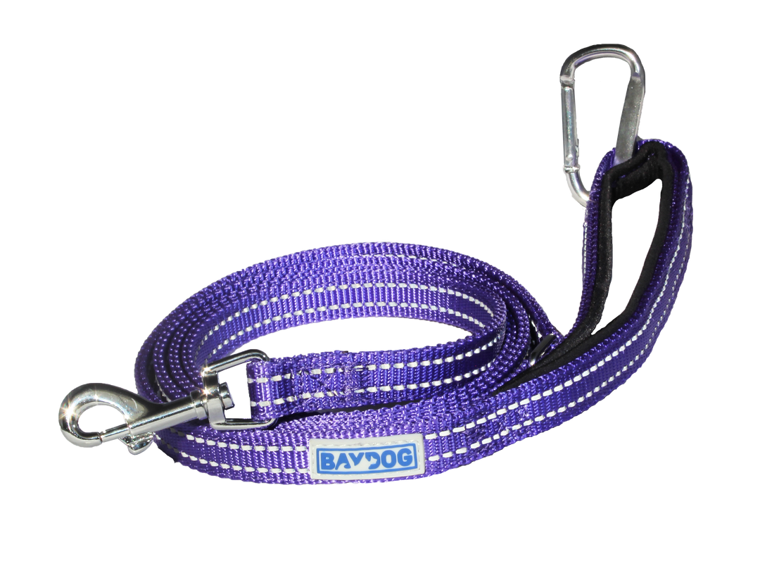 Pensacola Bay Dog Leash | Lavender