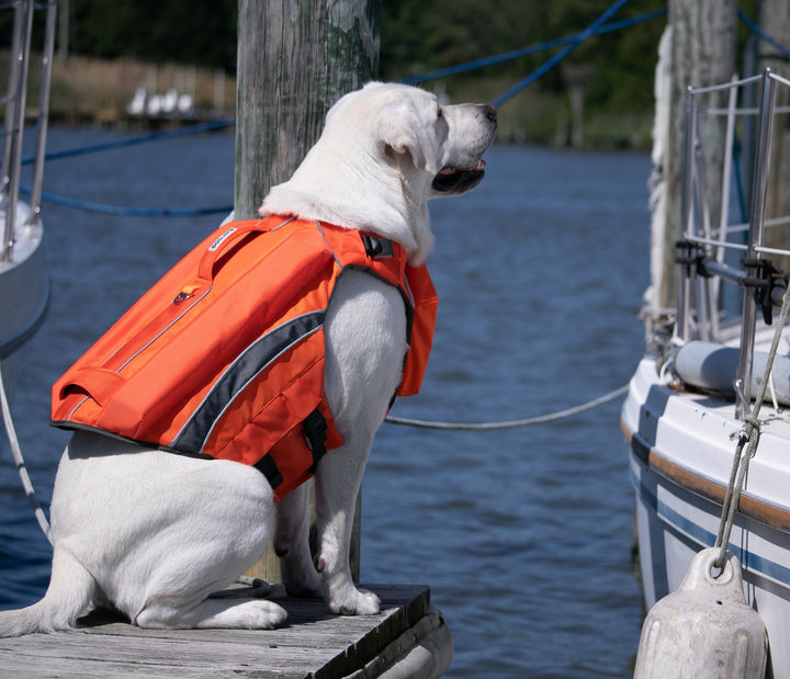 Monterey Bay Dog LifeJacket OffShore | Blaze Orange