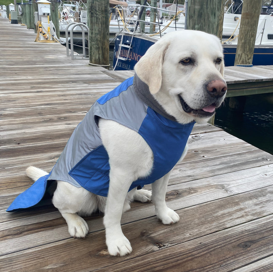 Glacier Bay Winter Dog Coat | Ocean Blue