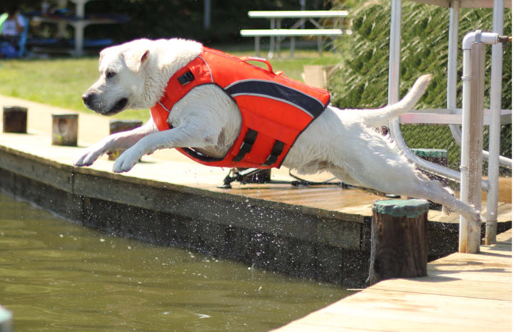 Monterey Bay Dog LifeJacket | Blaze Orange