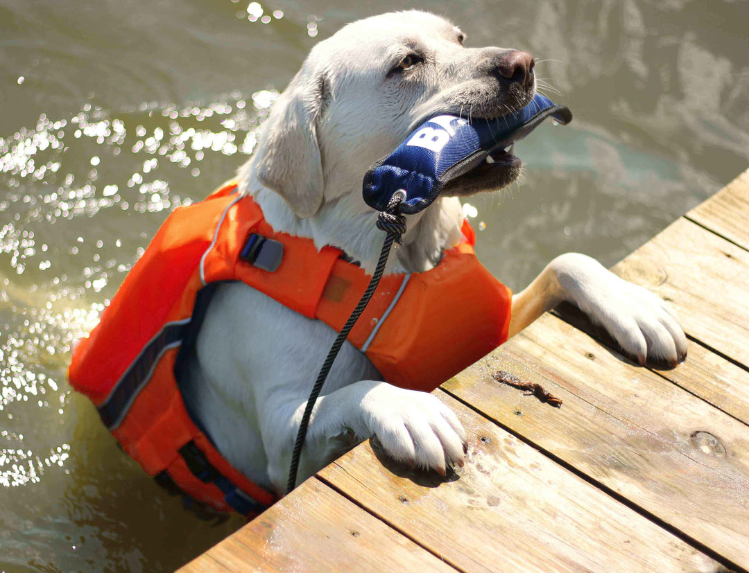 Monterey Bay Dog LifeJacket OffShore | Blaze Orange