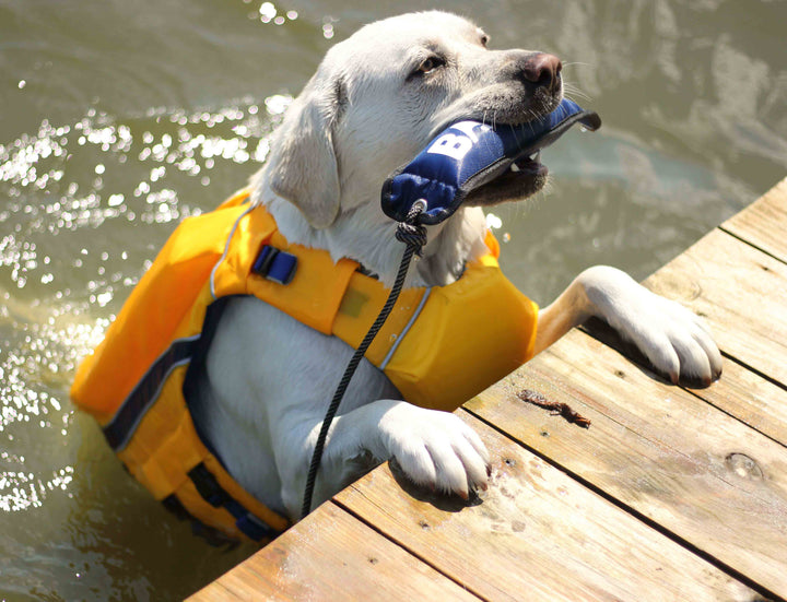 Monterey Bay Dog LifeJacket OffShore | Nautical Yellow