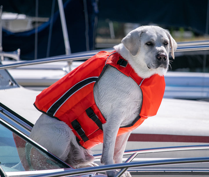 Monterey Bay Dog LifeJacket OffShore | Blaze Orange