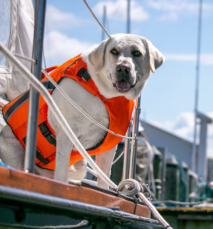 Monterey Bay Dog LifeJacket | Blaze Orange