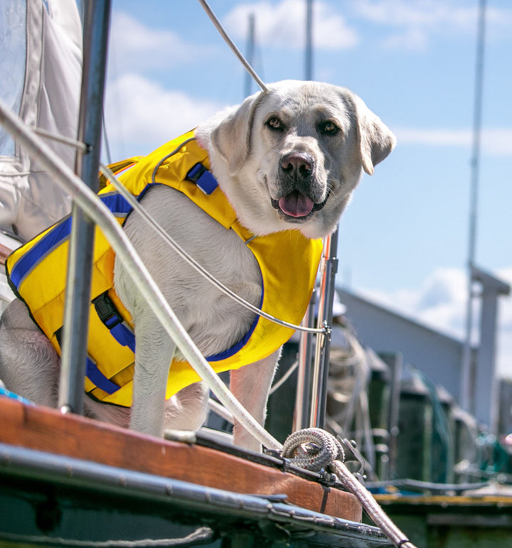 Monterey Bay Dog LifeJacket | Nautical Yellow