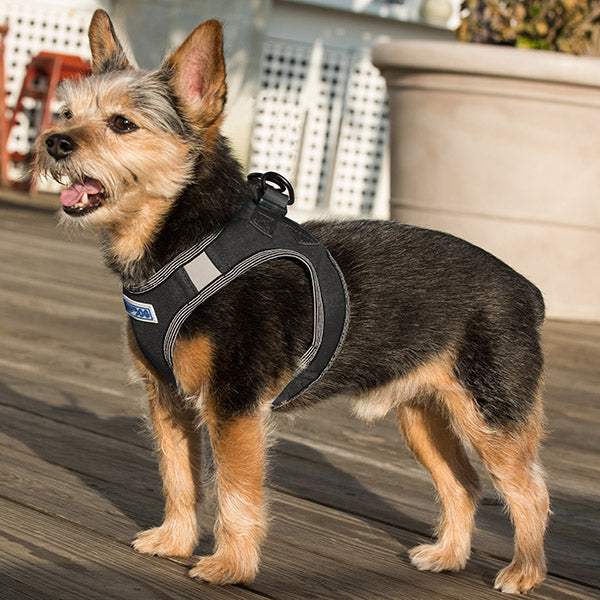 Liberty Bay Dog Harness | Covert Black