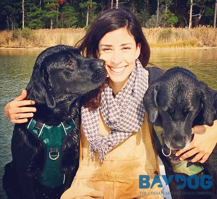 Reasons to Adopt A Dog: Why You Should Choose Rescue Pets – BAYDOG