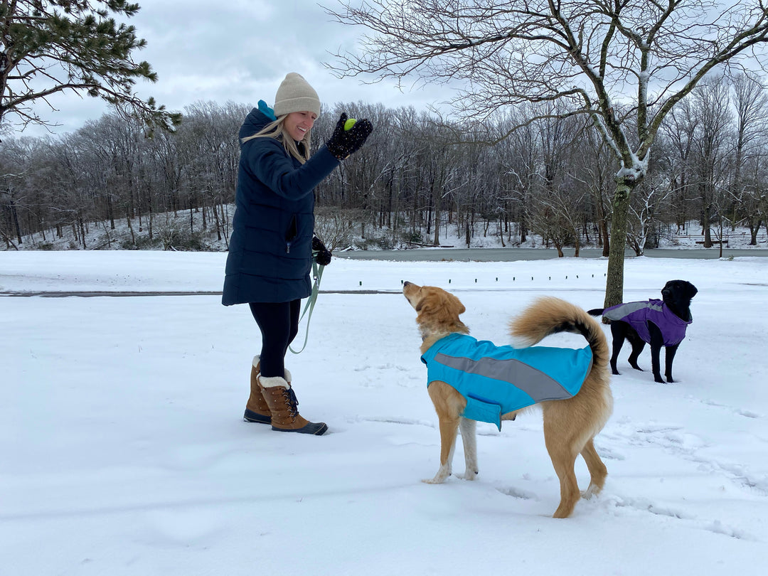 Cold Weather Dog Coats