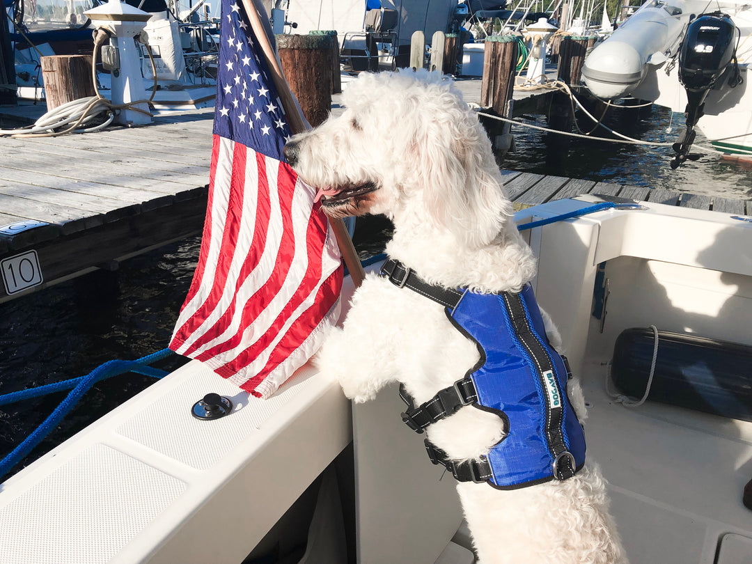 5 Tips to Help Your Dog on the 4th of July