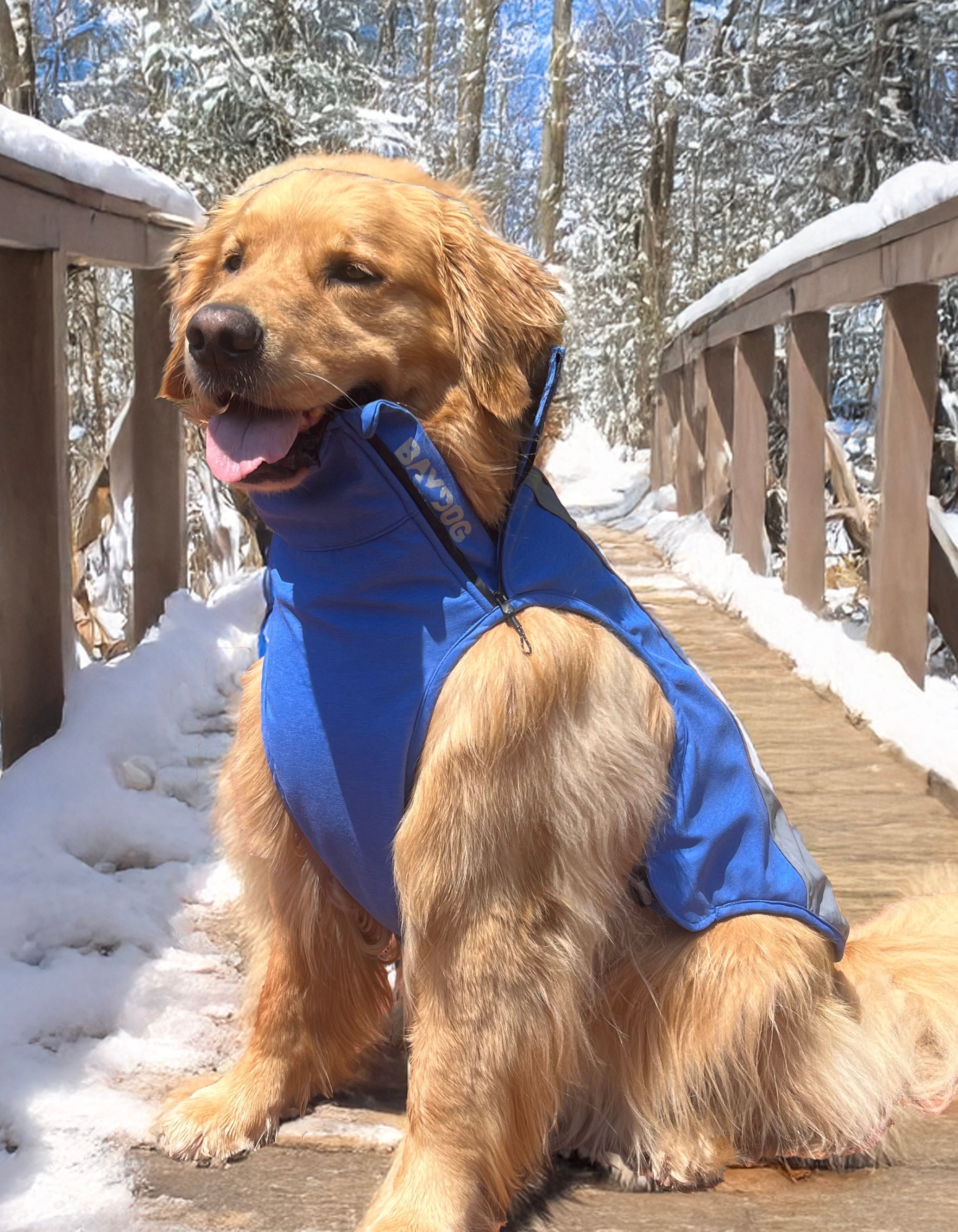 Outerwear