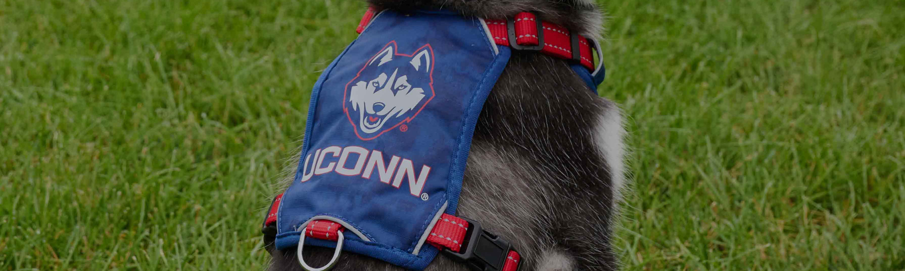 College Harnesses N - Z