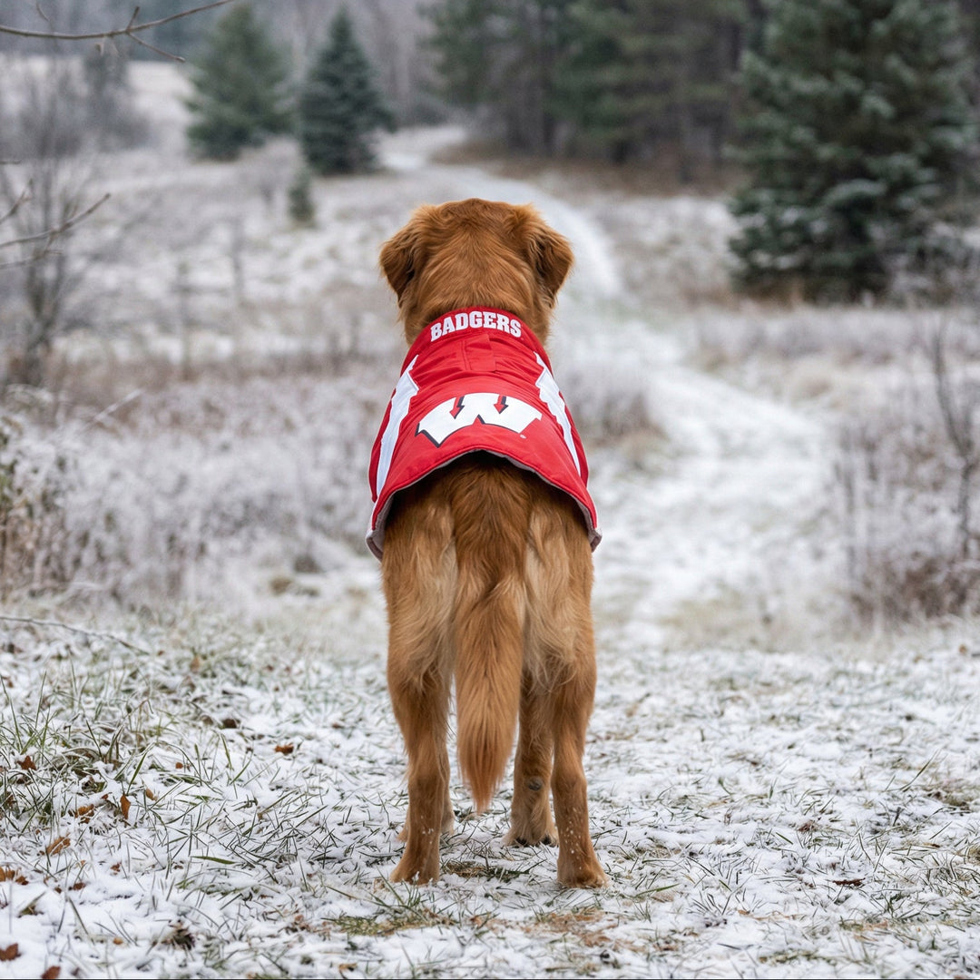Wisconsin Badgers Dog Fleece