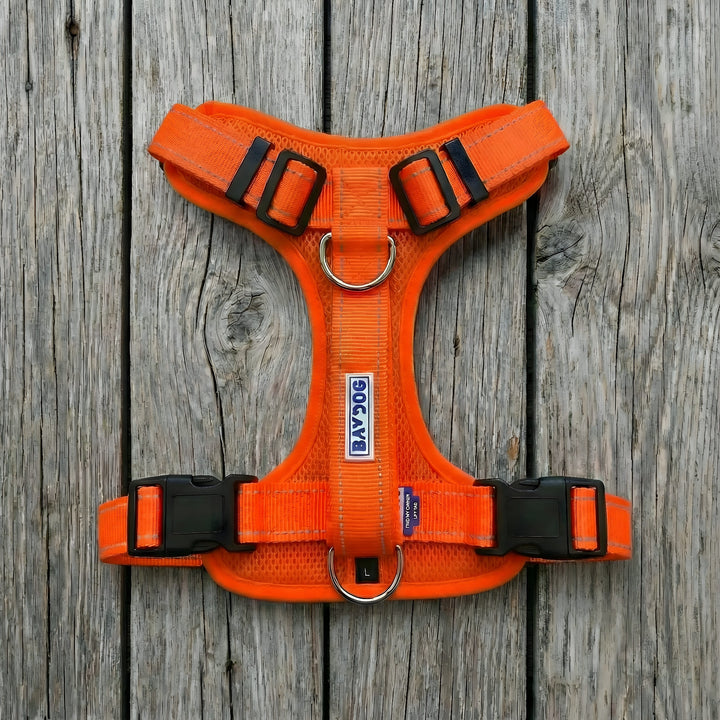 Chesapeake Bay Dog Harness