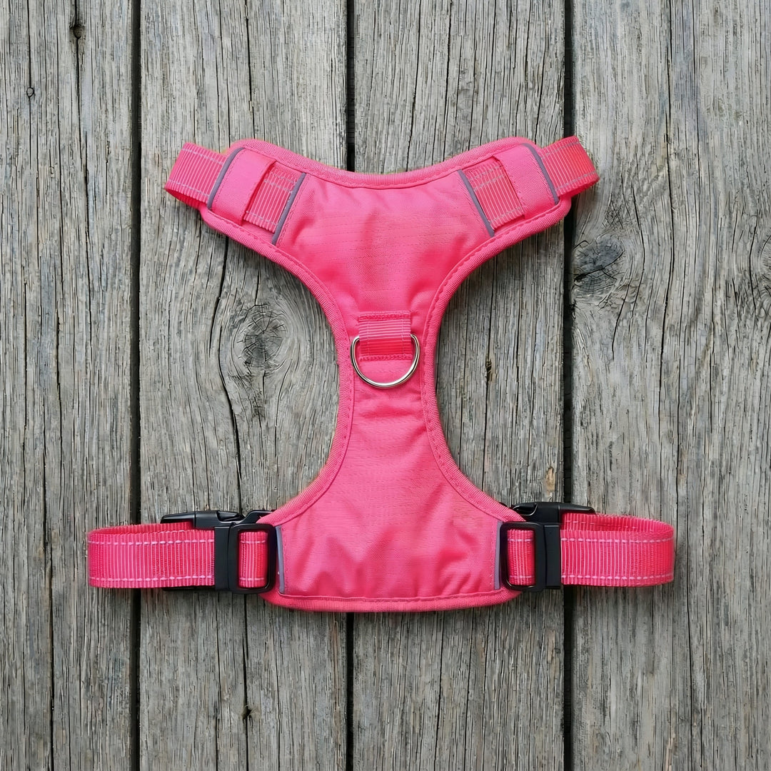 Chesapeake Bay Dog Harness