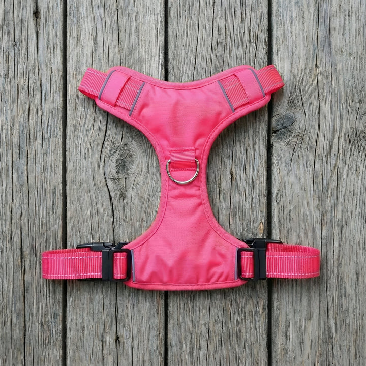 Chesapeake Bay Dog Harness