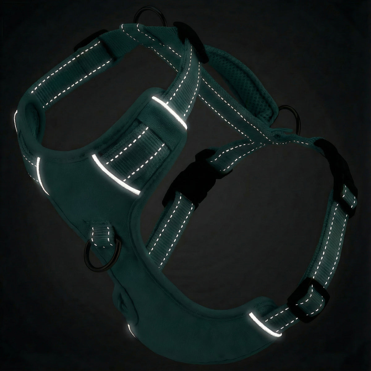 Chesapeake Bay Dog Harness