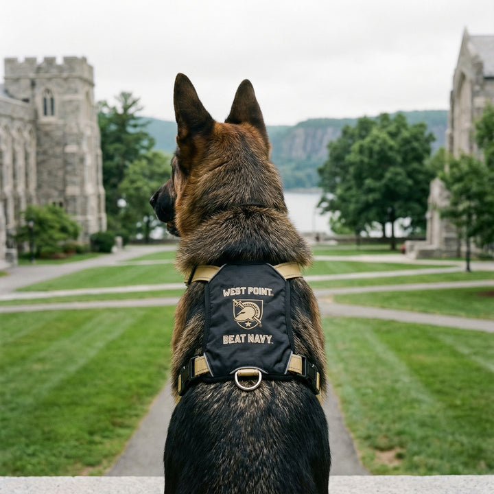 Army Black Knights Dog Harness
