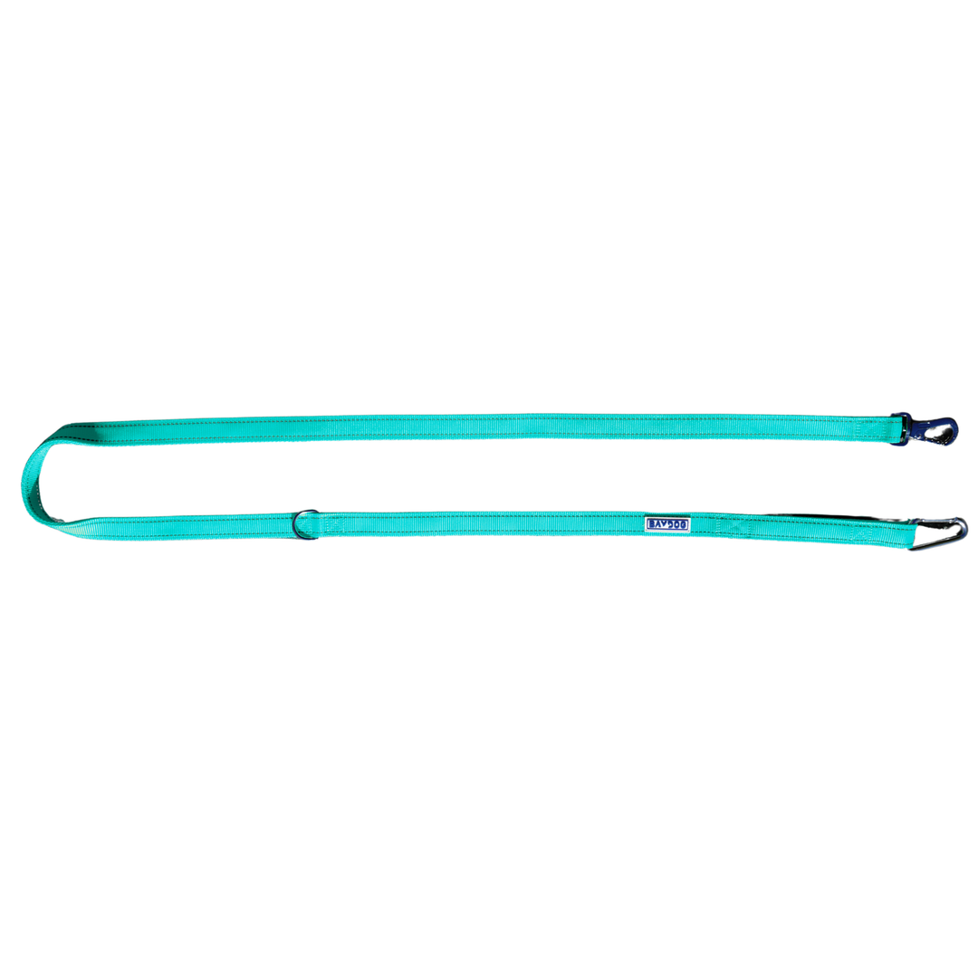 Hudson Bay Dog Leash