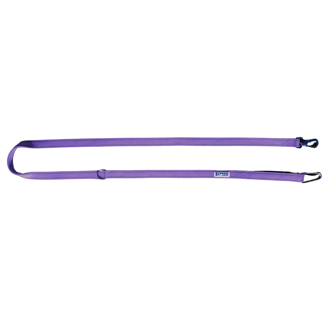 Hudson Bay Dog Leash