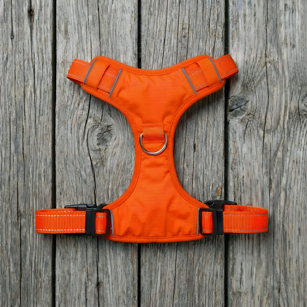 Chesapeake Bay Dog Harness