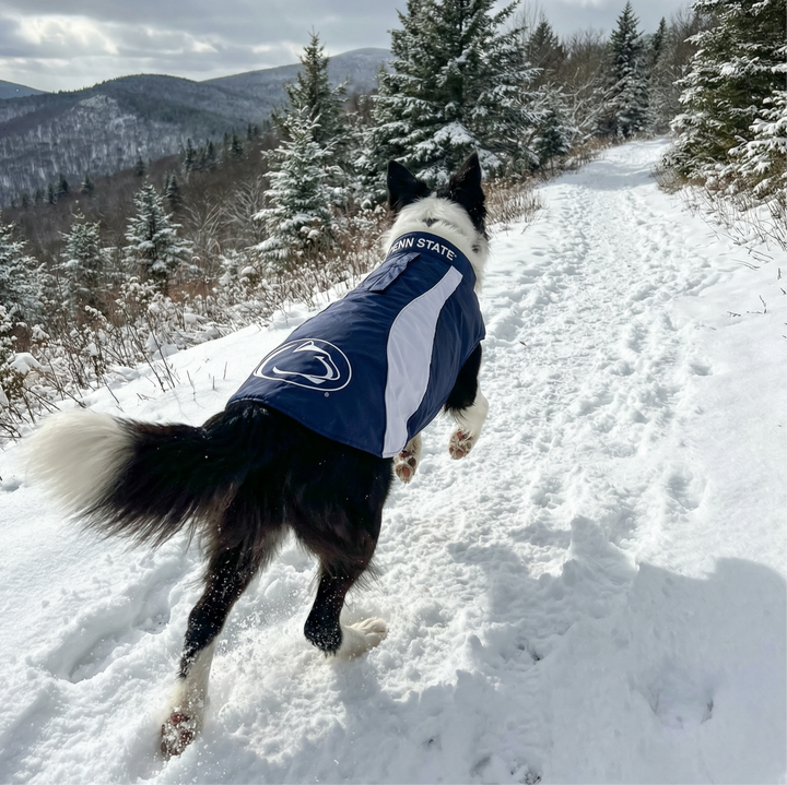Penn State Nittany Lions Dog Fleece