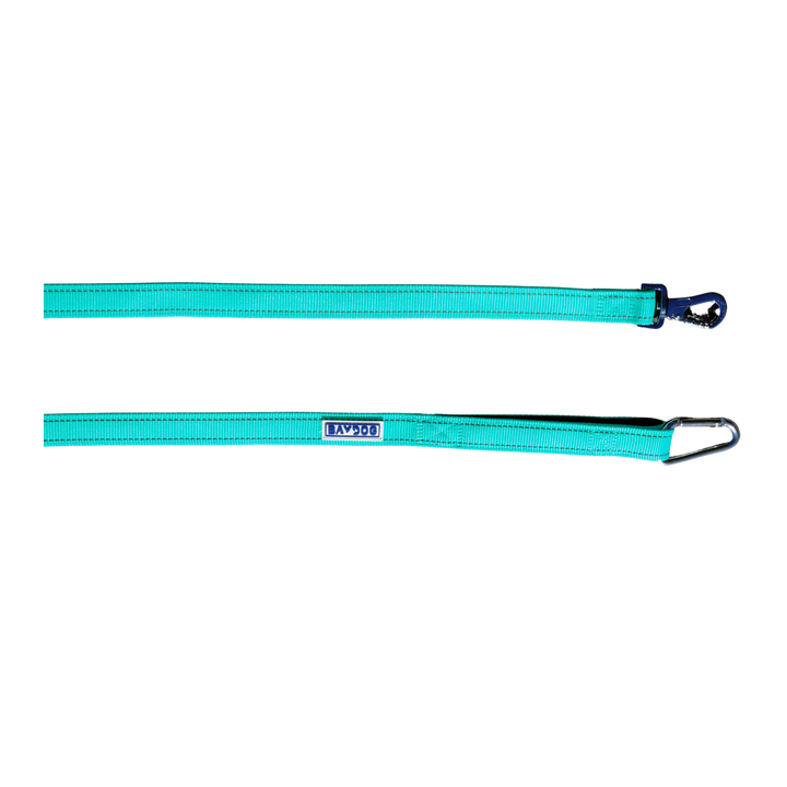 Hudson Bay Dog Leash