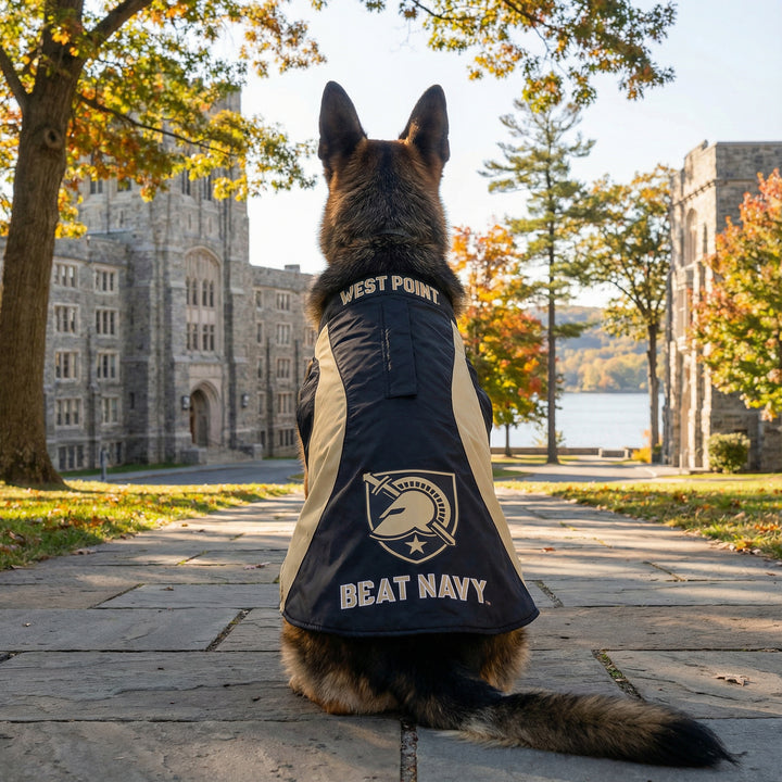 Army Black Knights Dog Fleece