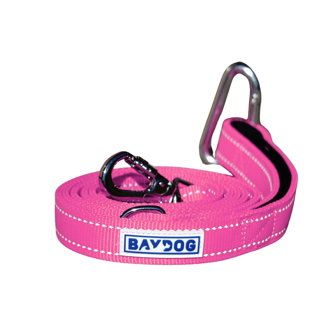 Hudson Bay Dog Leash