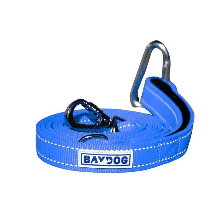 Hudson Bay Dog Leash
