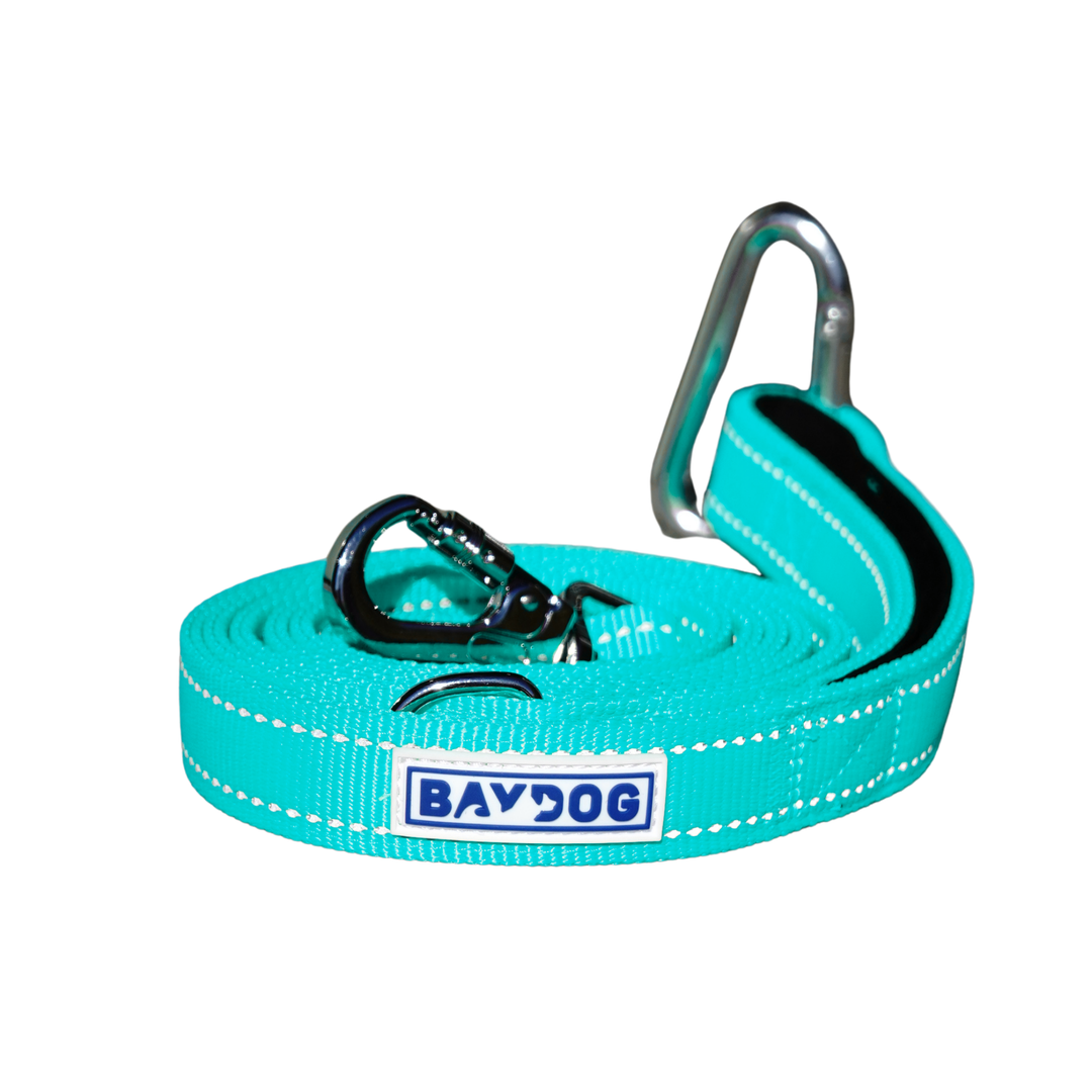 Hudson Bay Dog Leash