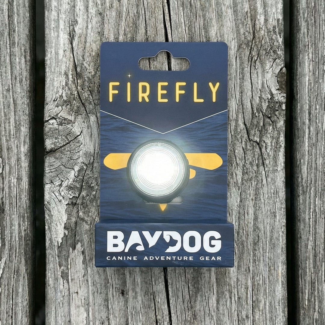 Firefly LED Safety Light