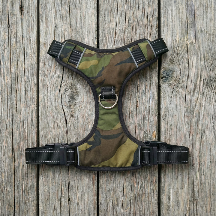 Chesapeake Bay Dog Harness