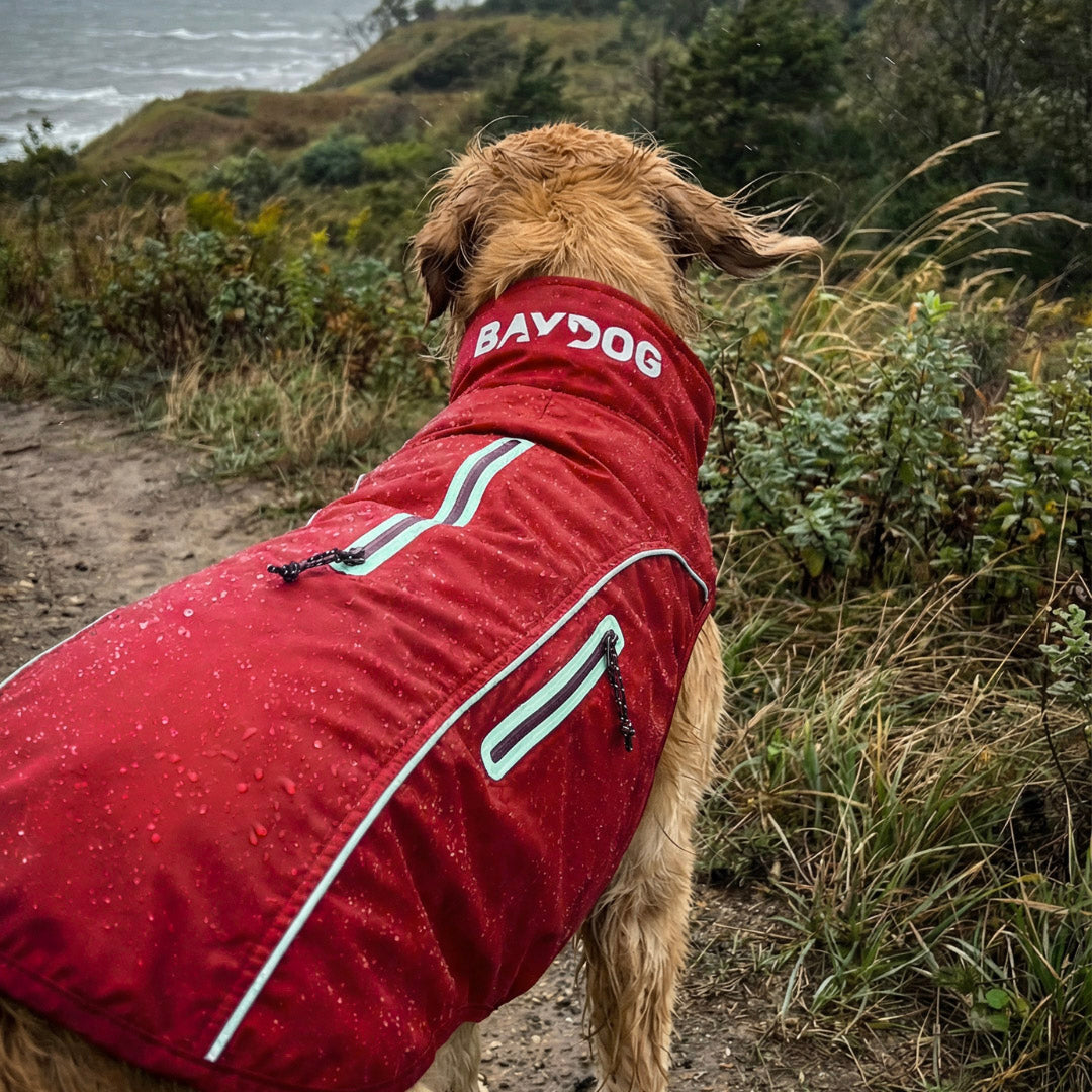Narragansett Bay Dog Sailing Jacket