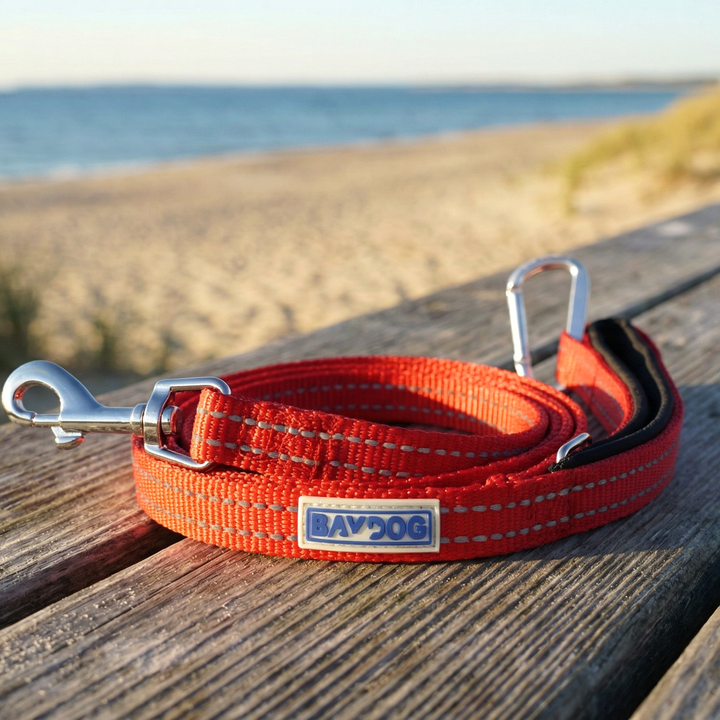 Pensacola Bay Dog Leash