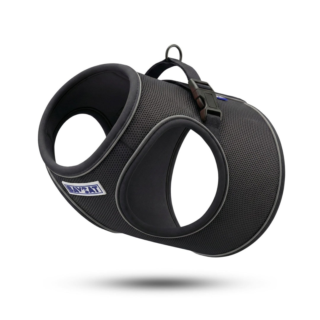 BAYCAT Harness + Leash