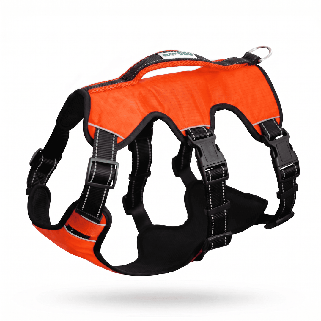 Saranac Dog Backpack