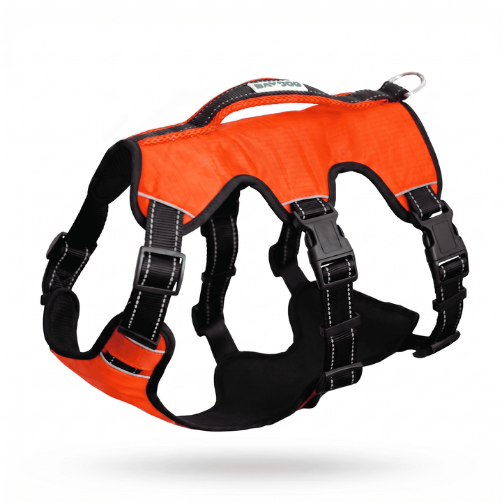 Saranac Dog Backpack