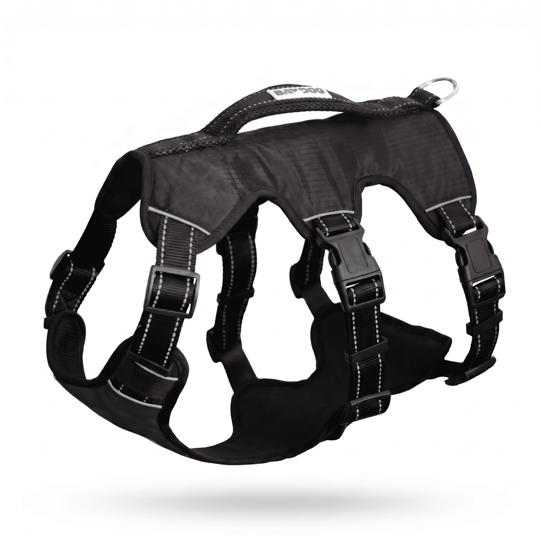 Saranac Dog Backpack