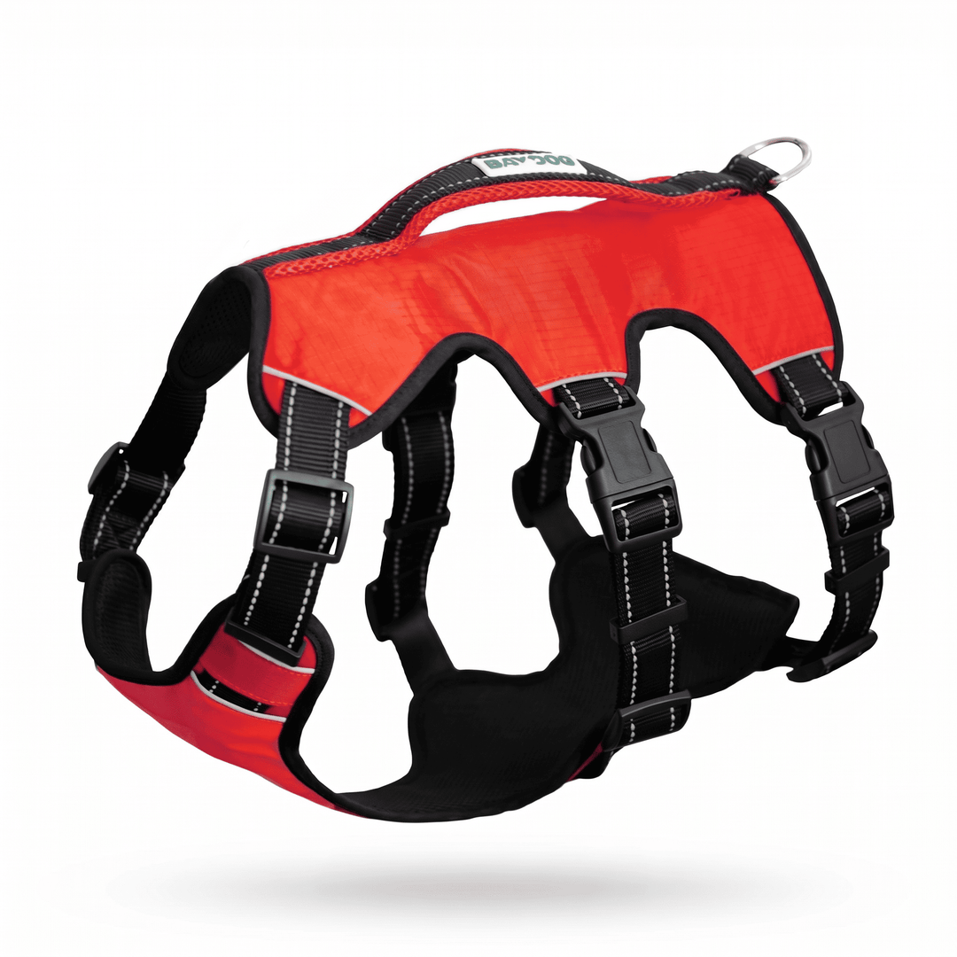 Saranac Dog Backpack