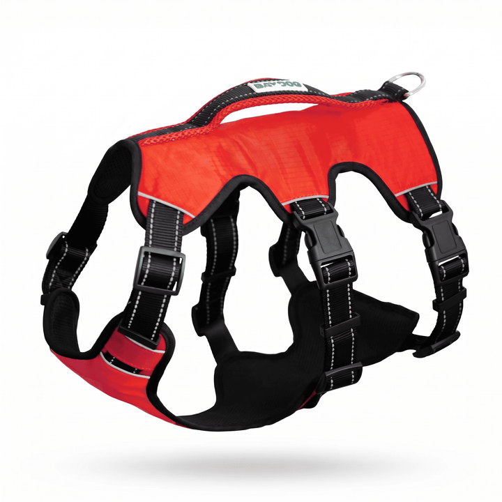Saranac Dog Backpack
