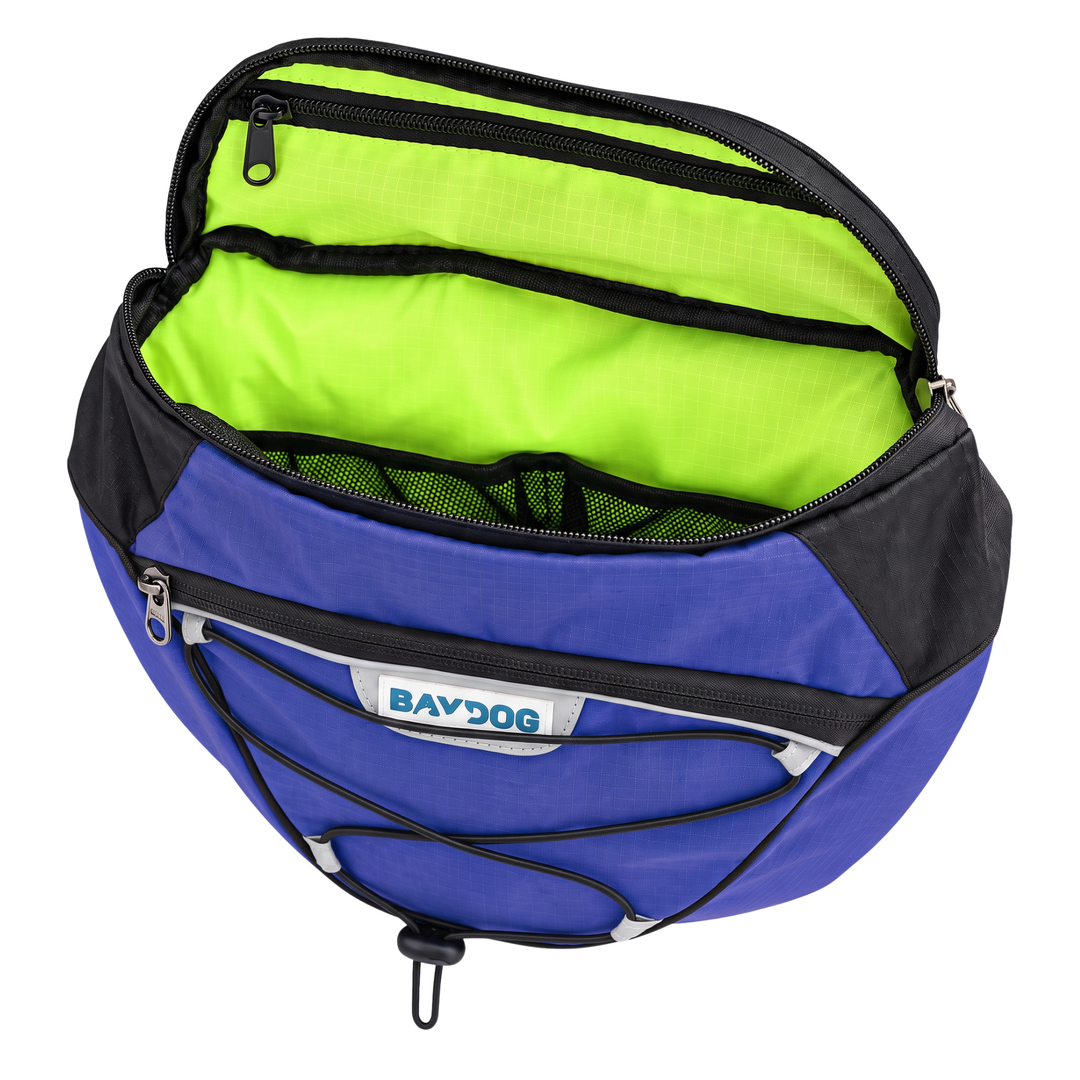 Saranac Dog Backpack