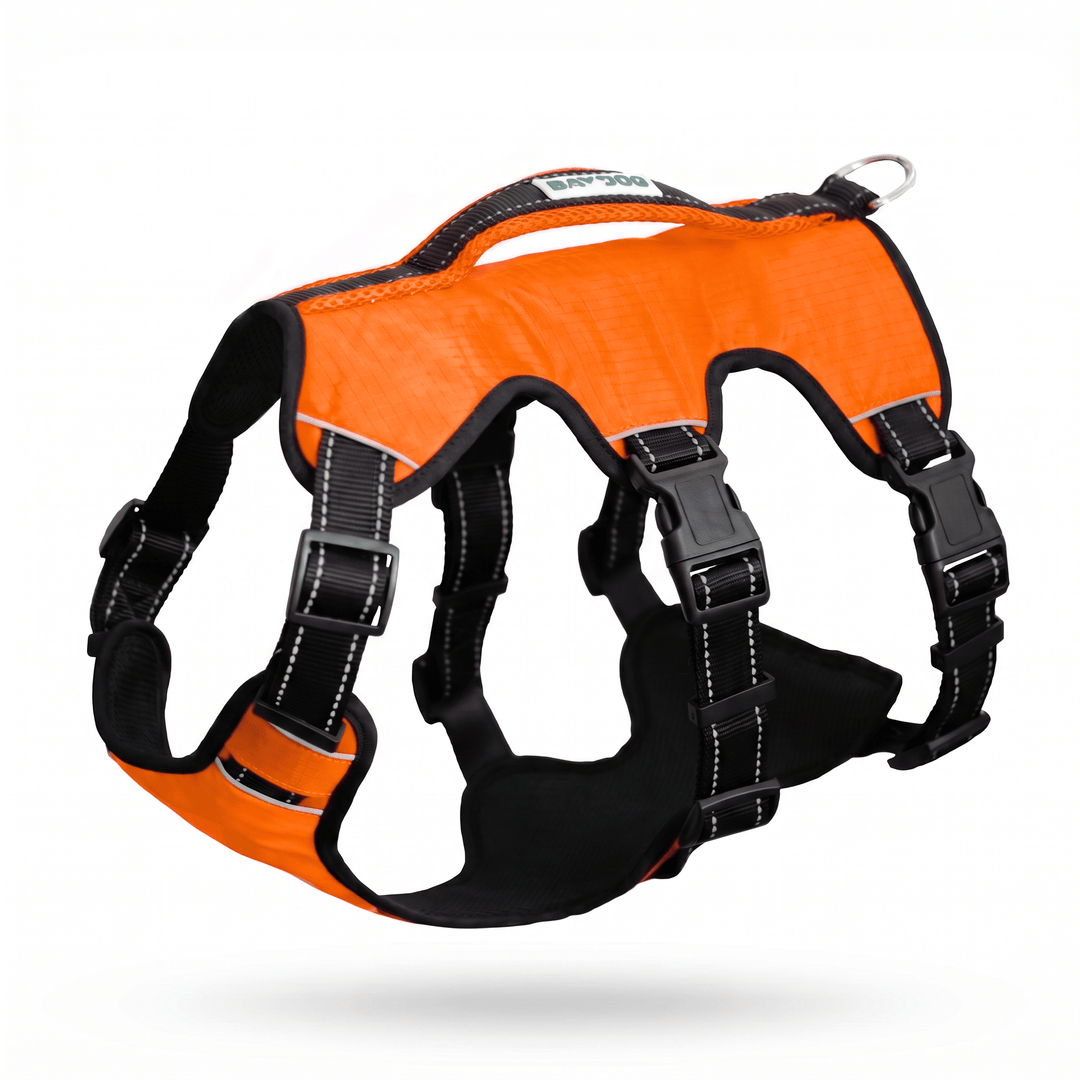 Saranac Dog Backpack