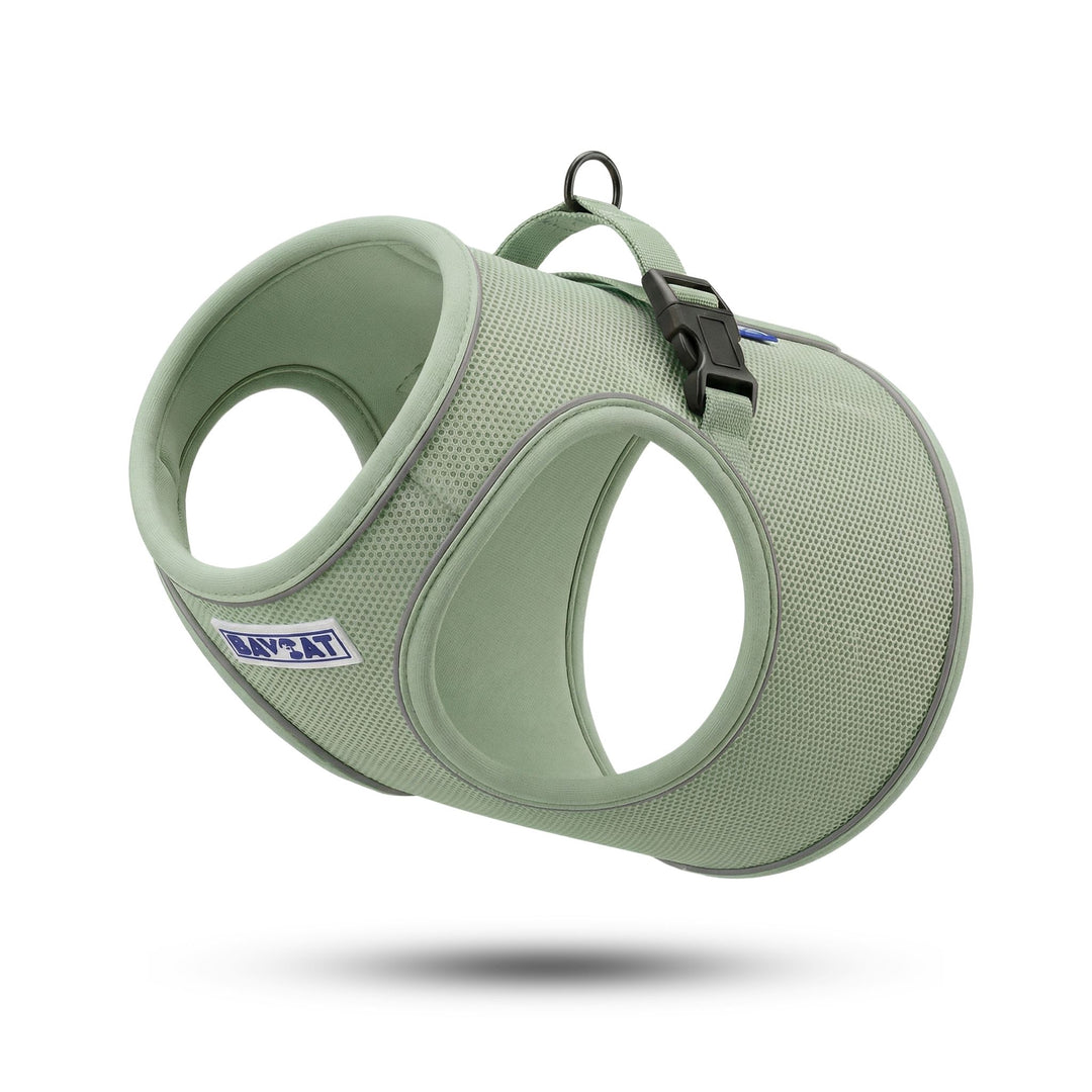 BAYCAT Harness + Leash