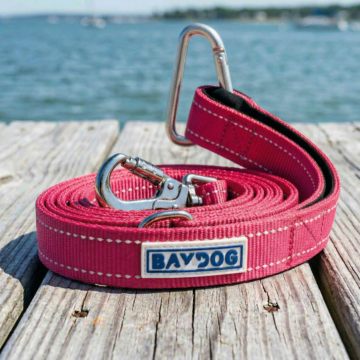 Hudson Bay Dog Leash