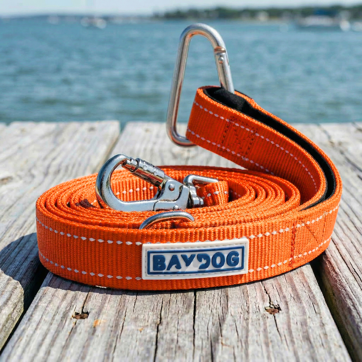 Hudson Bay Dog Leash