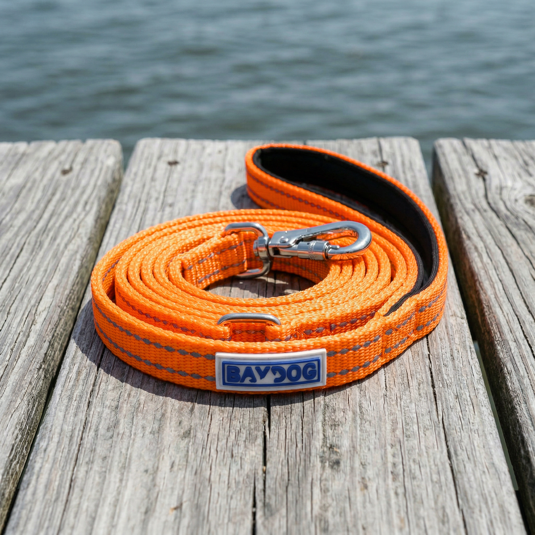 Pensacola Bay Dog Leash