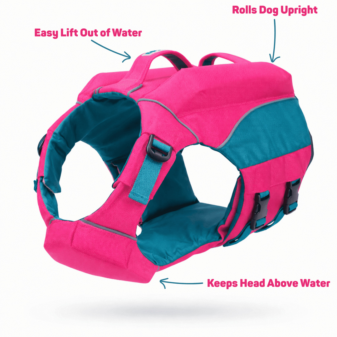 Monterey Bay Dog LifeJacket OffShore