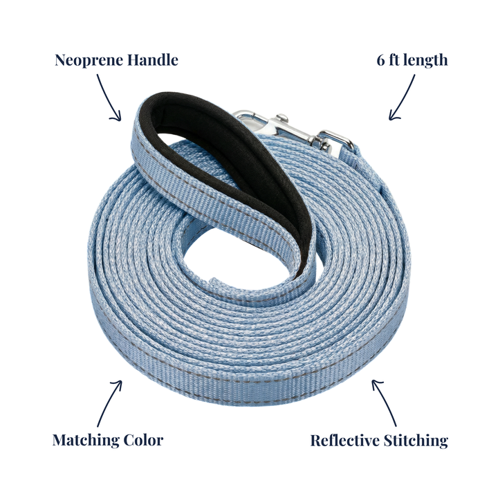 BAYCAT Harness + Leash