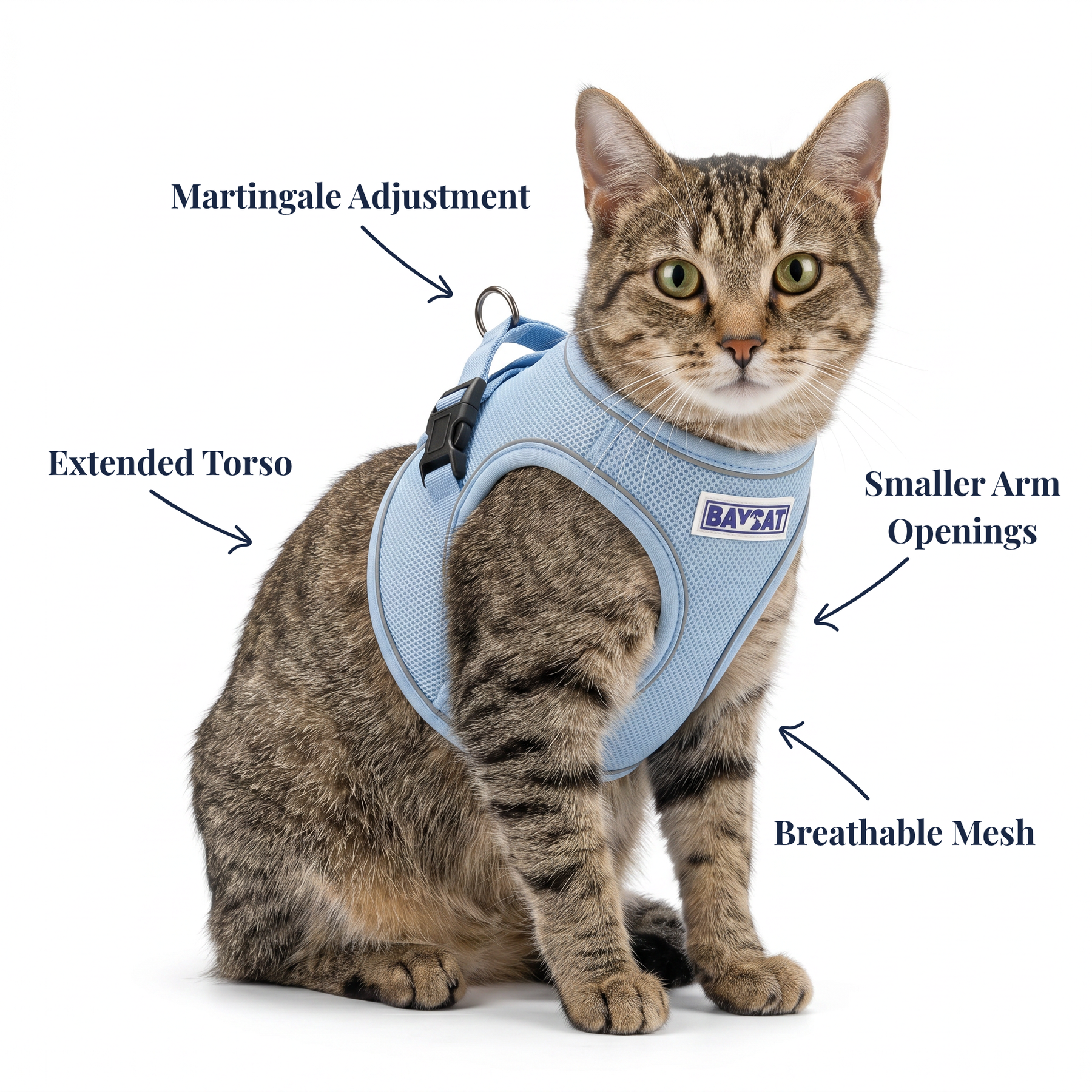 Baycat BAYCAT Harness + Leash – BAYDOG