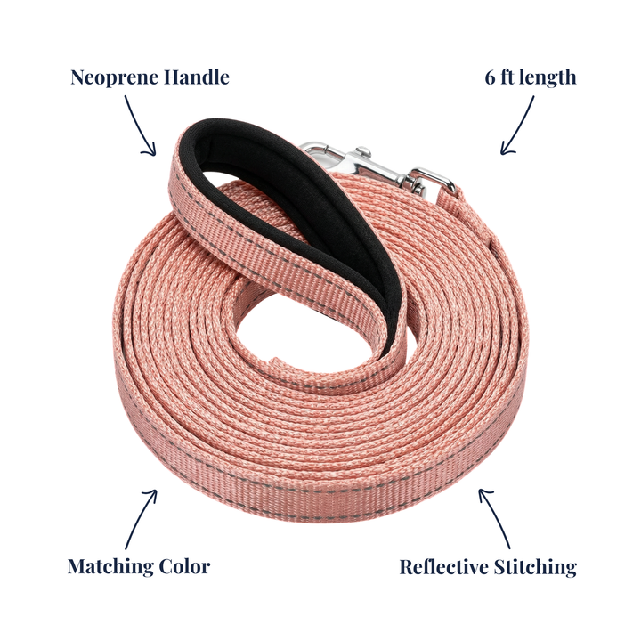 BAYCAT Harness + Leash